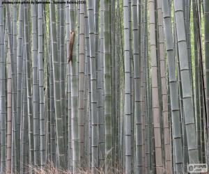 пазл Японский бамбуковый лес
